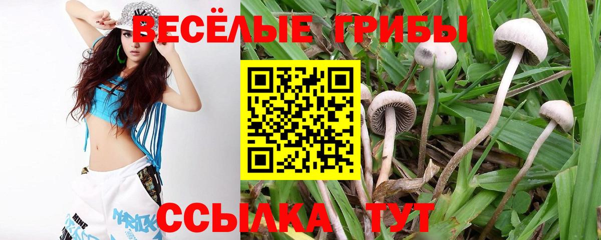 Псилоцибиновые грибы мухоморы Реж