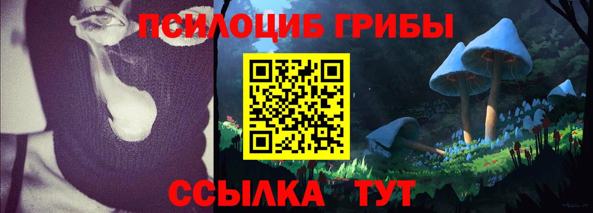 Реж  Псилоцибиновые грибы Psilocybine cubensis  Вход с VPN 